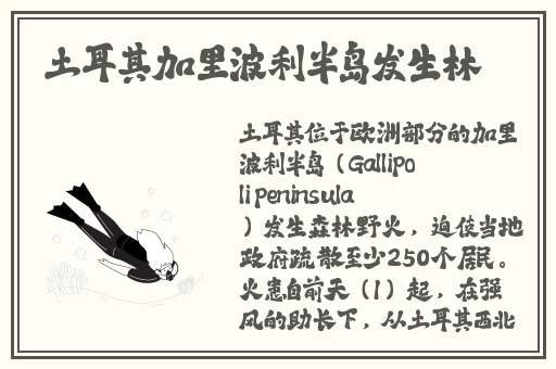欧美精品中文字幕在线视频
